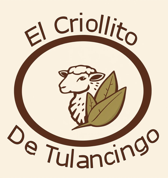 Barbacoa El Criollito Tulancingo 