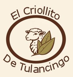 Barbacoa El Criollito Tulancingo 